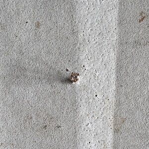 Natural Diamond 14K Screw Back Stud Earring